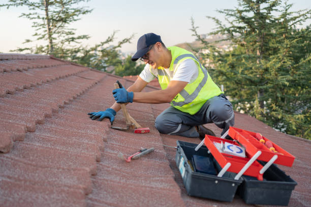 Professional Roofing Contractor in Weslaco, TX