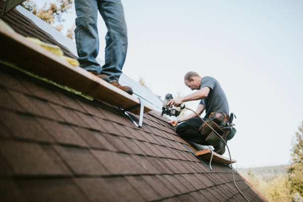 Quick and Trustworthy Emergency Roof Repair Services in Weslaco, TX